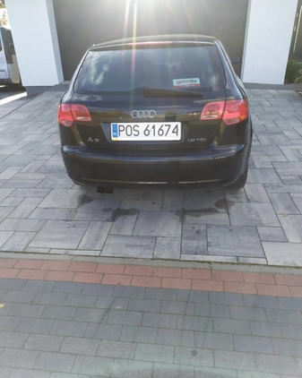 Audi A3 cena 13800 przebieg: 365088, rok produkcji 2007 z Pleszew małe 137